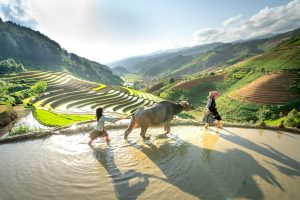 quand partir au vietnam cambodge