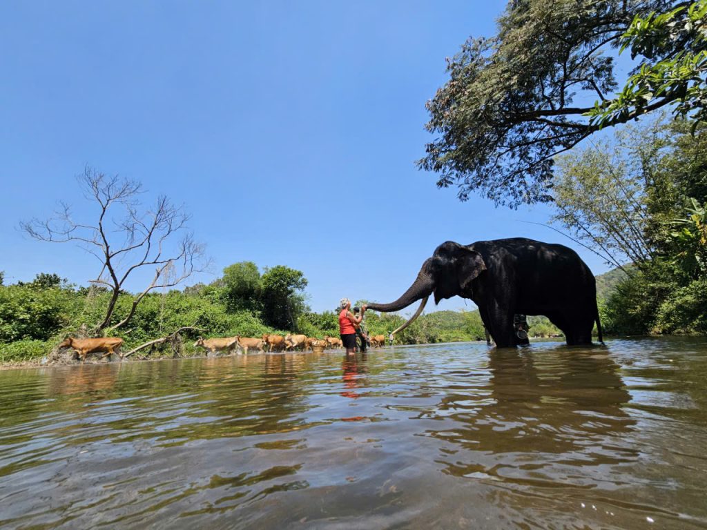Récit de voyage au Vietnam et Cambodge 3 semaines en mars – Mme Christine CHEVET