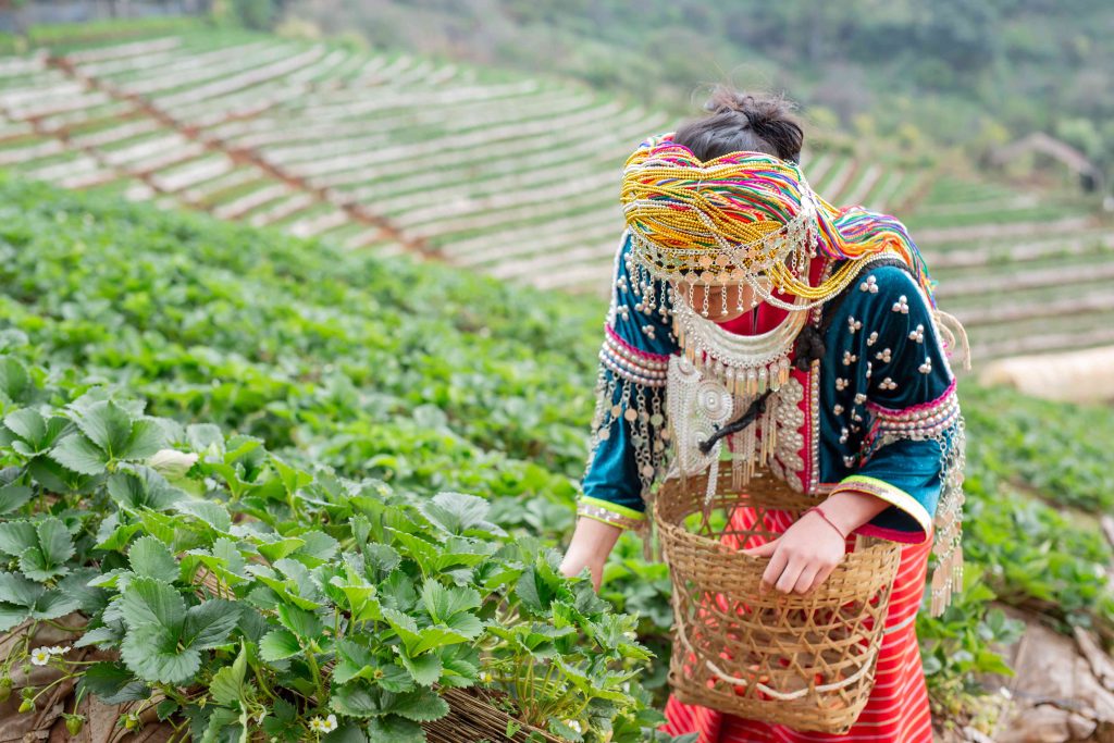 vietnam rural