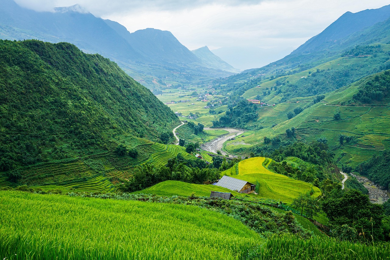 rizières au Vietnam hors des sentiers battus