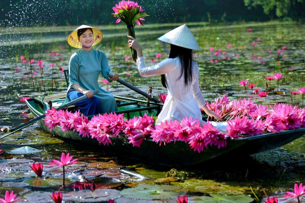 baie dhalong terrestre ninh binh