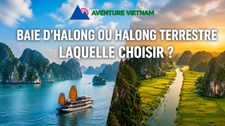 Baie d’Halong ou Halong terrestre : laquelle choisir ?