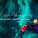 guide-voyage-vietnam-janvier-itineraire-meteo-budget
