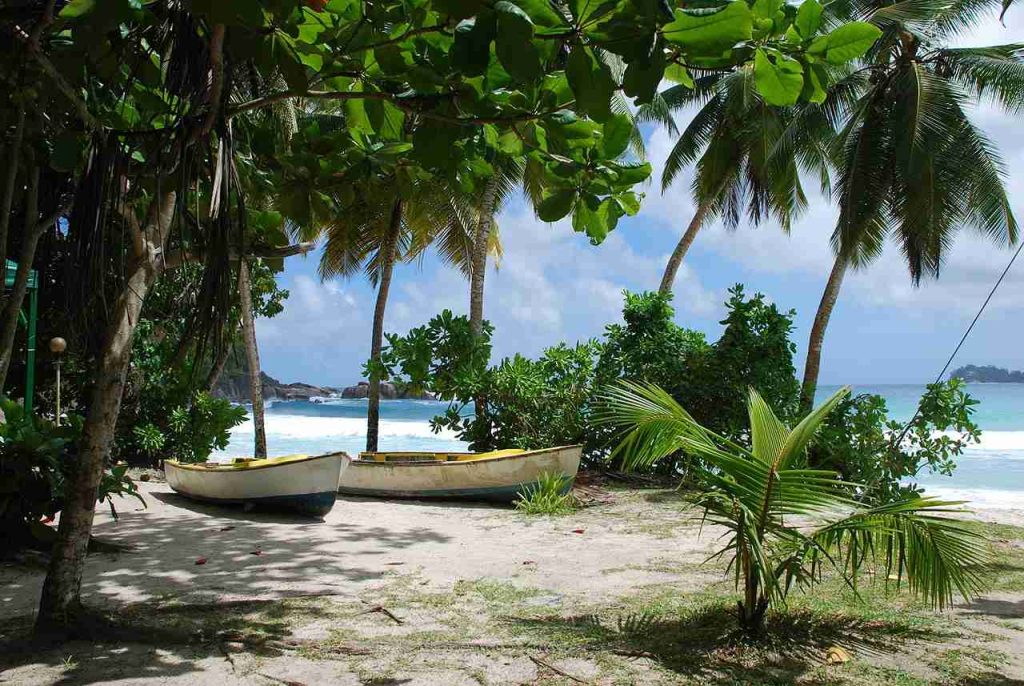 Que faire à Mui Ne : guide complet pour découvrir la côte vietnamienne