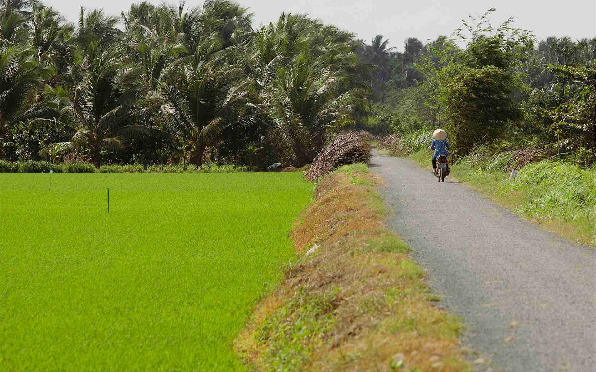 Road trip moto Vietnam Centre