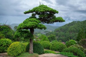 Dalat Vietnam