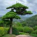 Dalat Vietnam