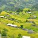 Hoang Su Phi Ha Giang