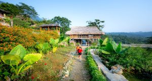 Nord du Vietnam