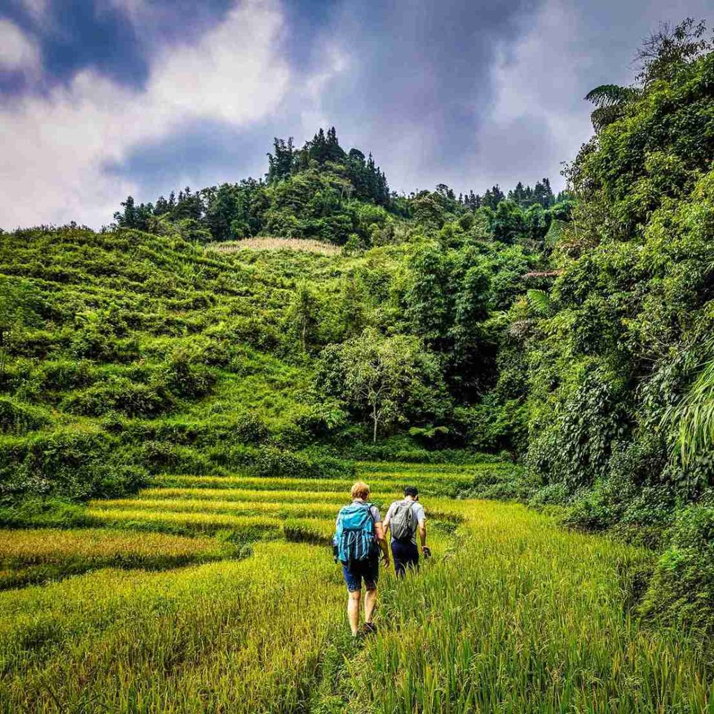 bac ha randonnee