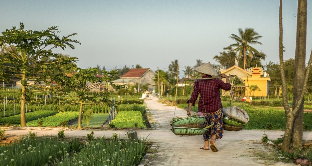 erreurs à éviter au vietnam