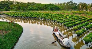 histoire du vietnam