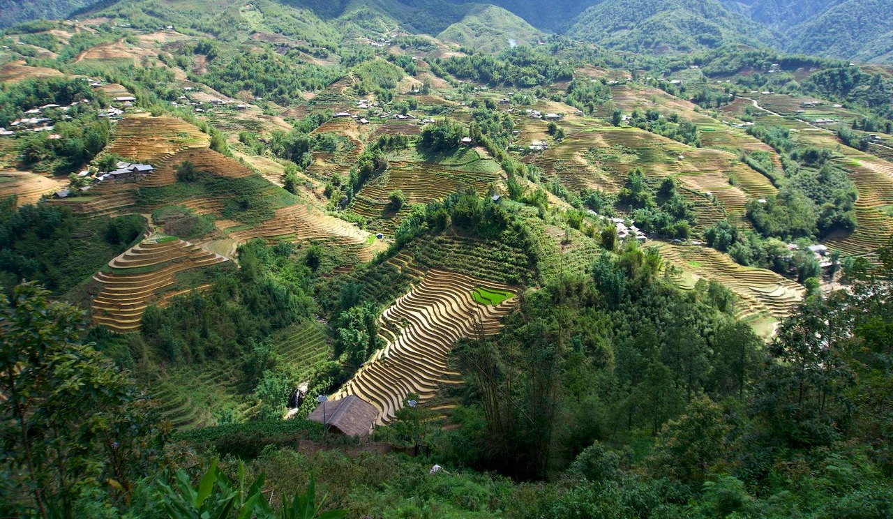 montagne de Sapa