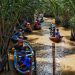 Ben Tre Vietnam