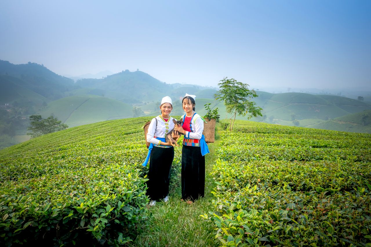 Moc Chau Vietnam