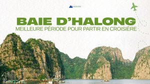 Baie d’Halong : meilleure période pour partir en croisière