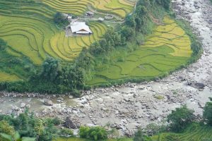 Vallée de Muong Hoa à Y Linh Ho, près de Sapa