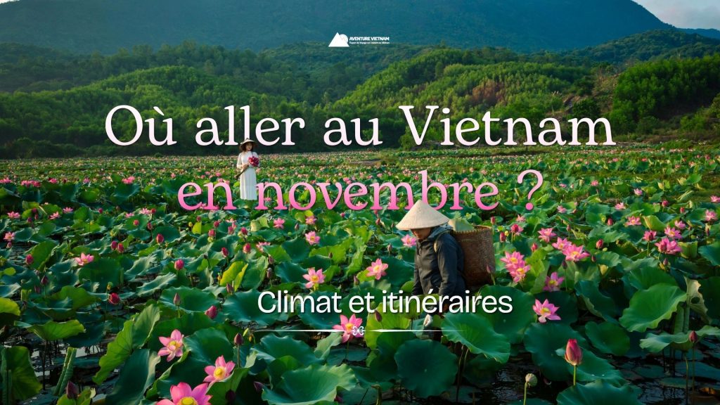 Où aller au Vietnam en novembre ? Climat et itinéraires