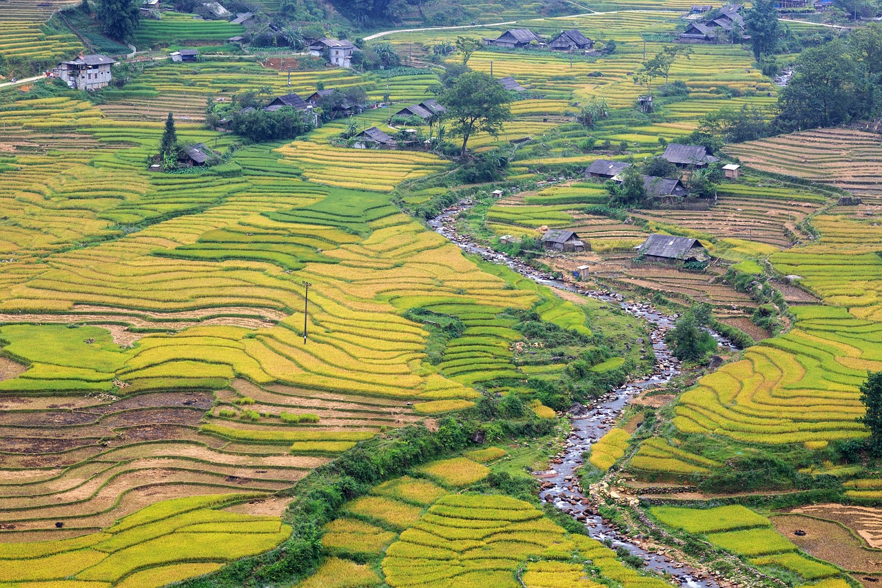 village de montagne à Sapa au Vietnam