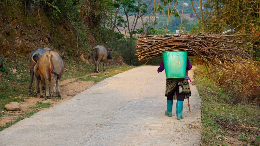 Visiter Bac Ha Vietnam : itinéraire et conseils pour un séjour réussi