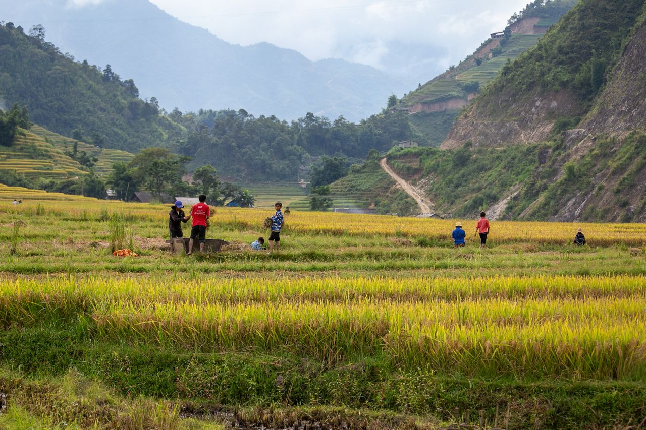 Découvrir Lao cai Vietnam