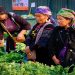 Lao Cai Vietnam