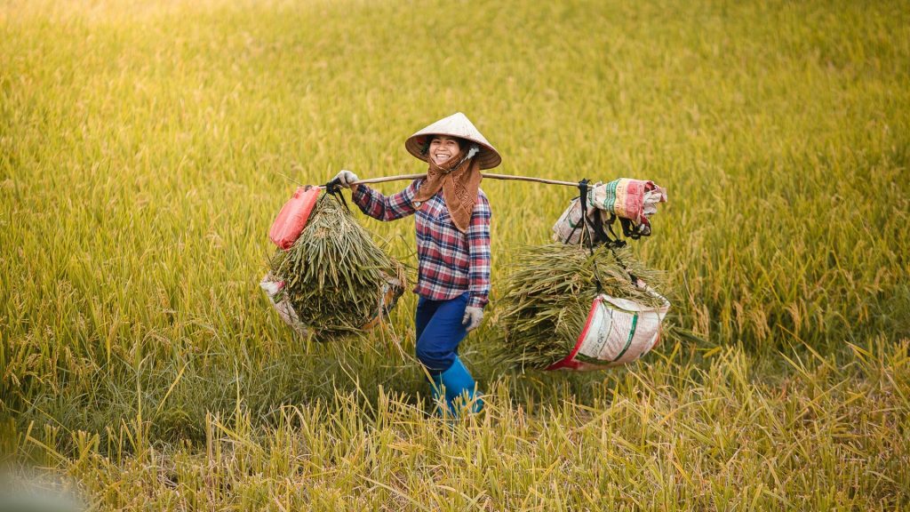 femmes vietnamiennes