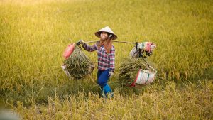 femmes vietnamiennes