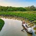 paysage du vietnam