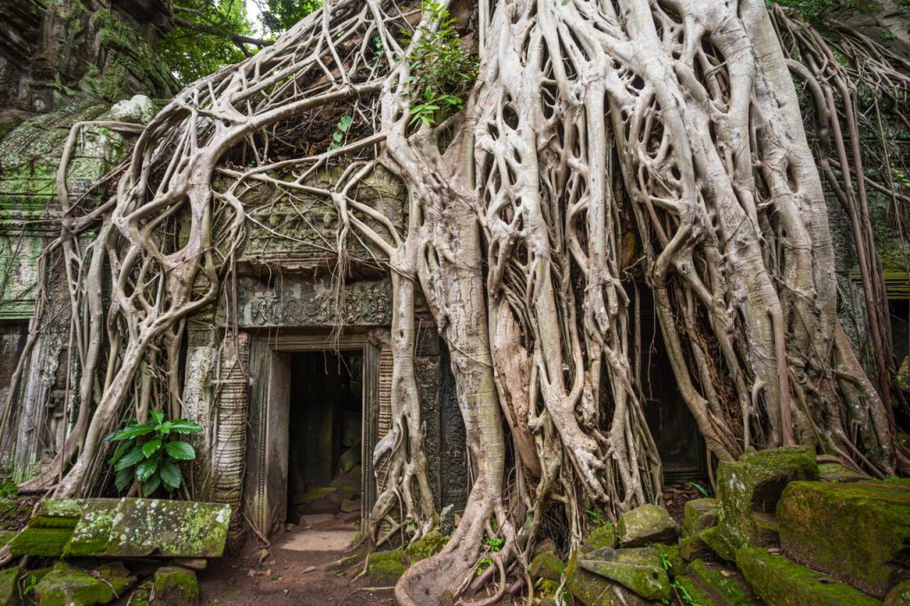Ancienne porte en pierre du temple de Ta Prohm