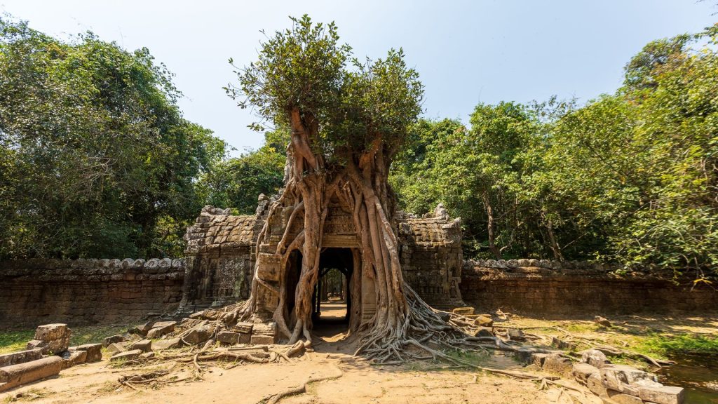 Ta Prohm