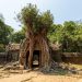 Ta Prohm