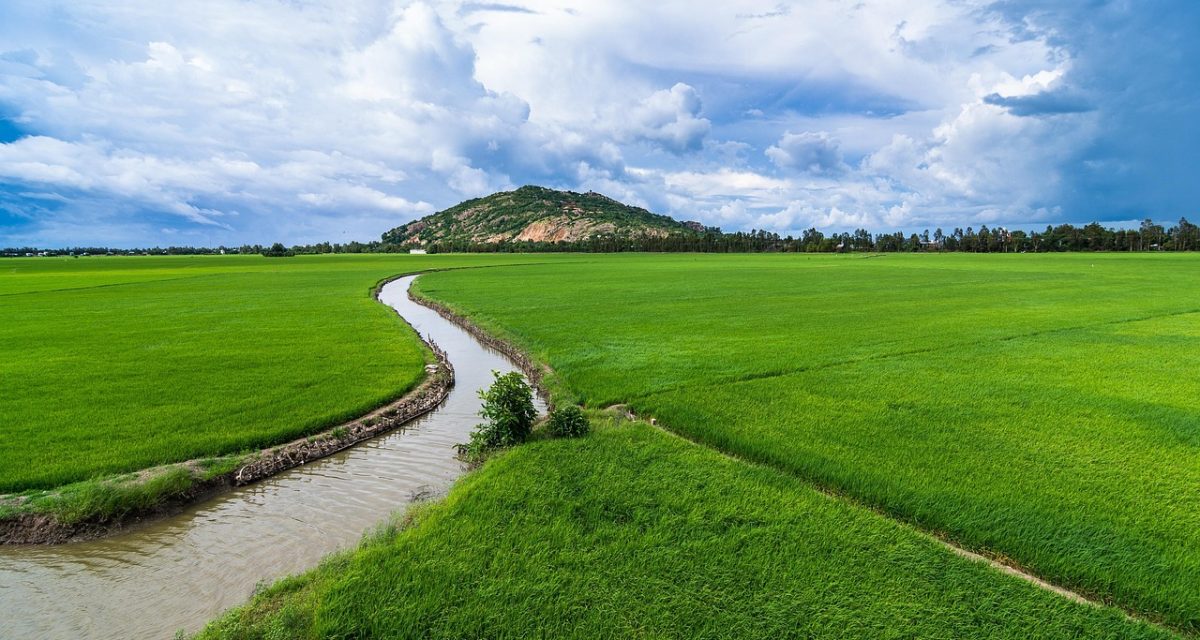 AVT Ba be vietnam