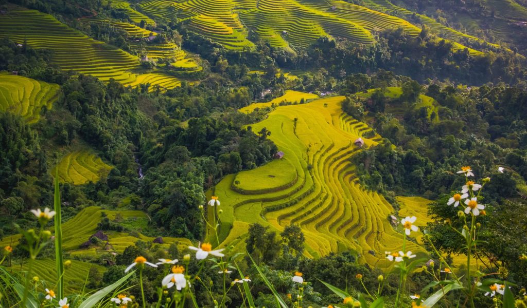 AVT Circuit Vietnam du nord 3