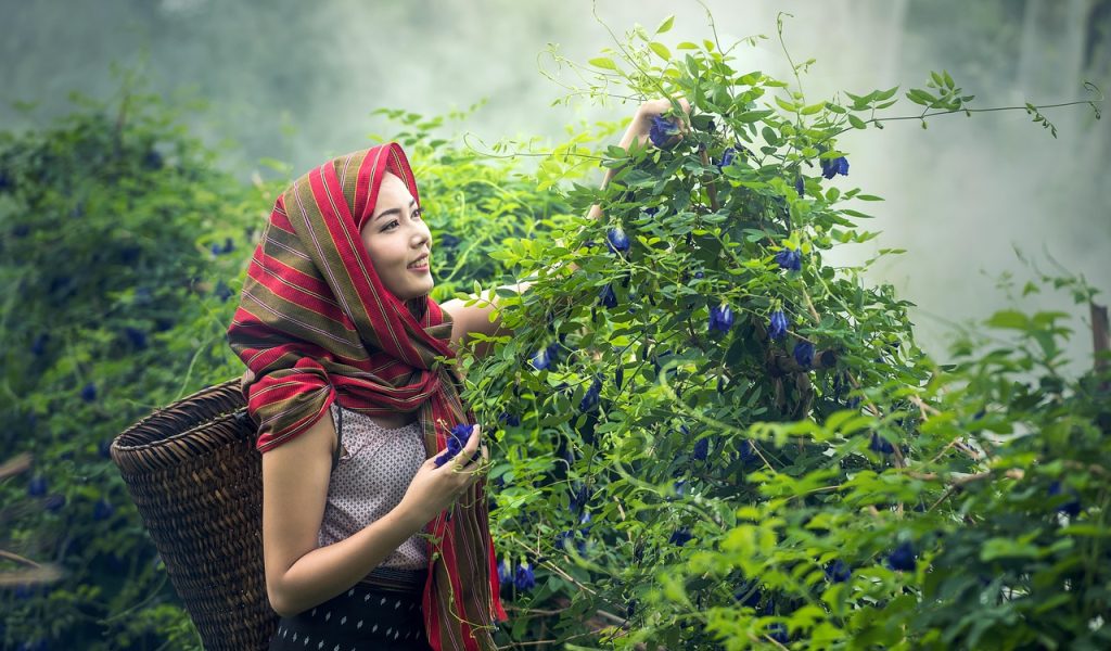 AVT Hors des sentiers battus v2