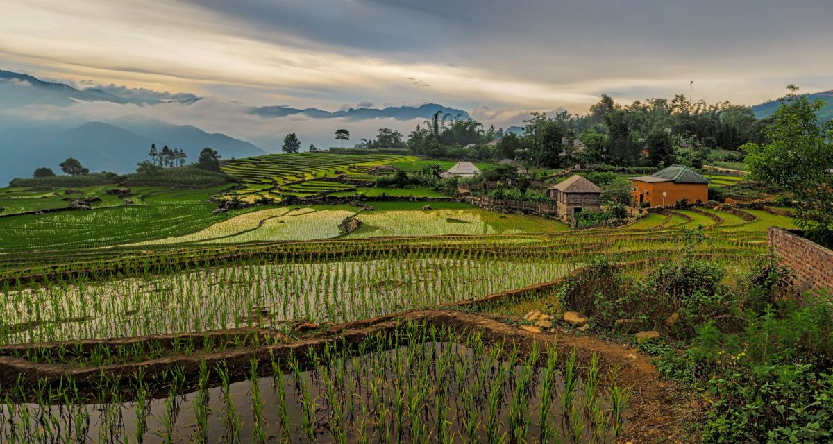 Paysages Y ty vietnam