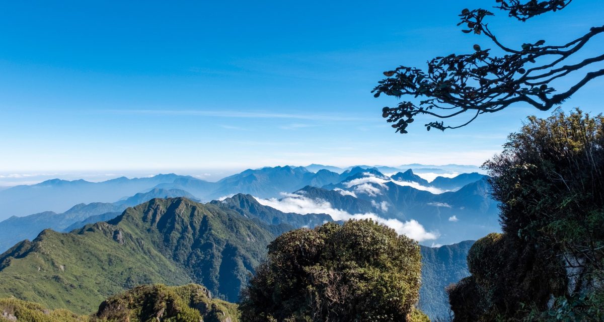 AVT asie du sud est voyage vietnam asie du sud est voyage vietnam