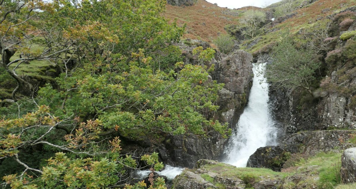 cascades du plateau des Bolovens laos