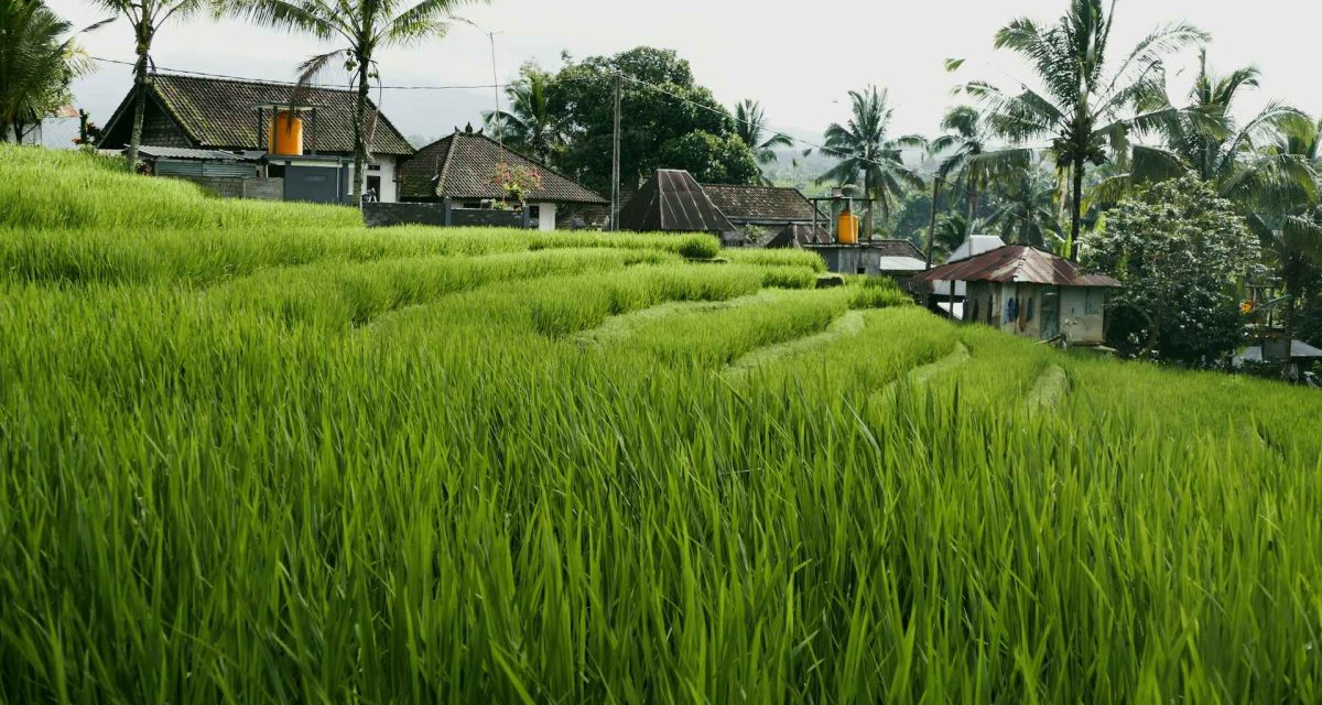 ecolodge Pu Luong