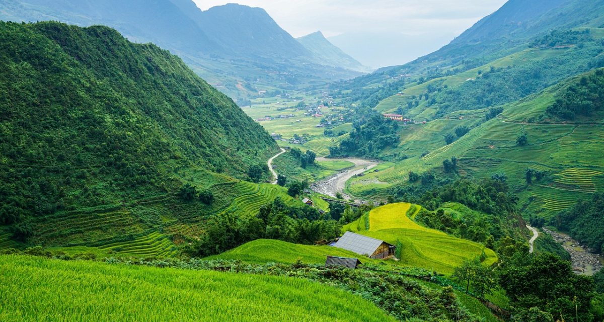 rizières au Vietnam hors des sentiers battus