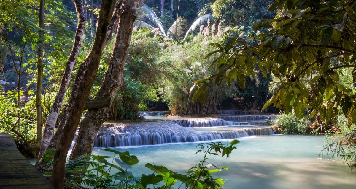 Cascade entourée de forêt au Laos