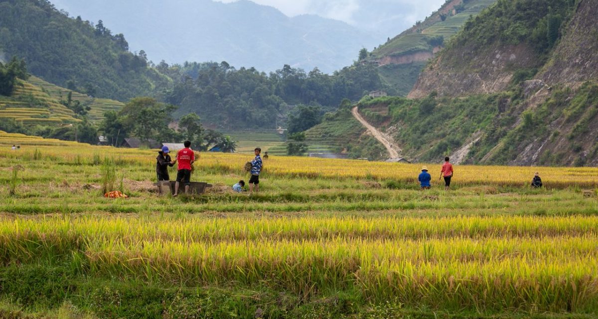 Découvrir Lao cai Vietnam