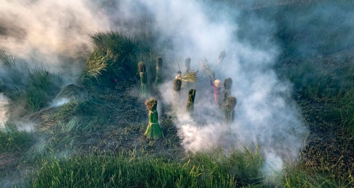 Entre février et avril, la fumée agricole peut affecter la qualité de l’air au Laos