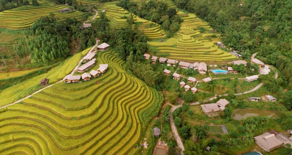 Hoang Su Phi
