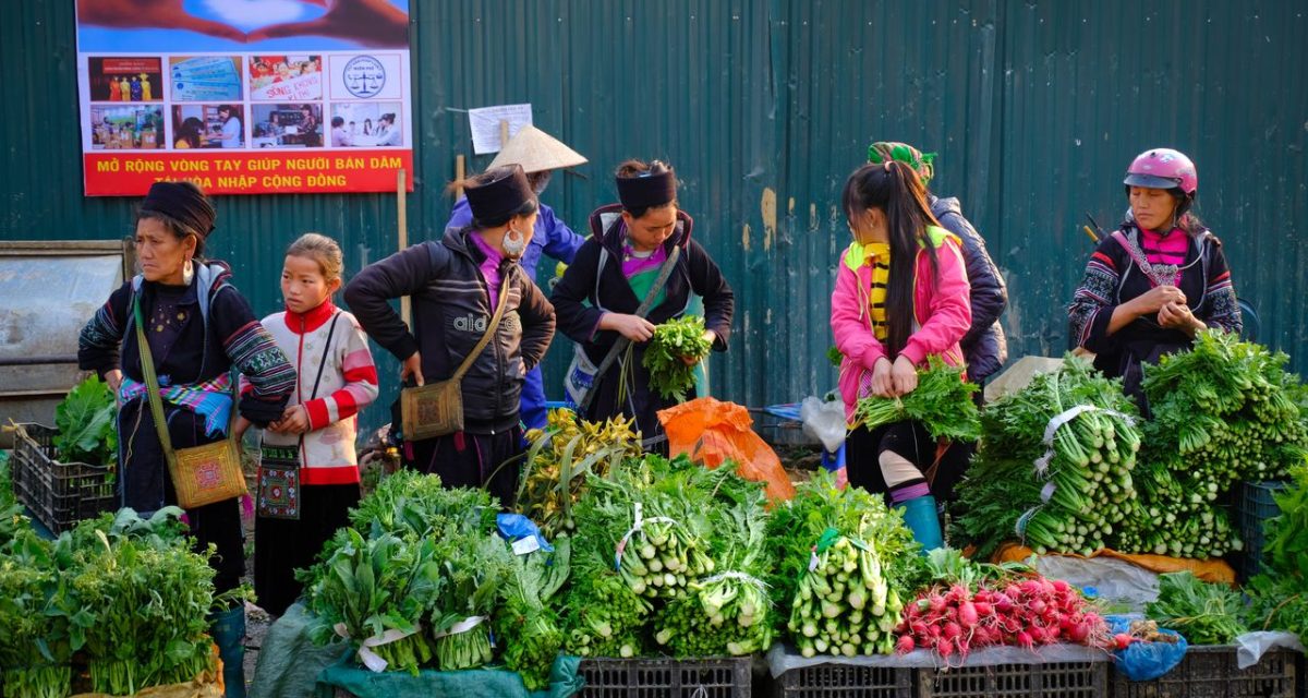 Marchés à Lao Cai
