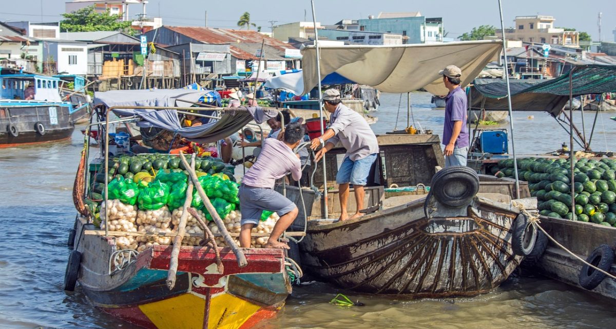 Marchés flottants au Vietnam, vendeurs de fruits à Can Tho