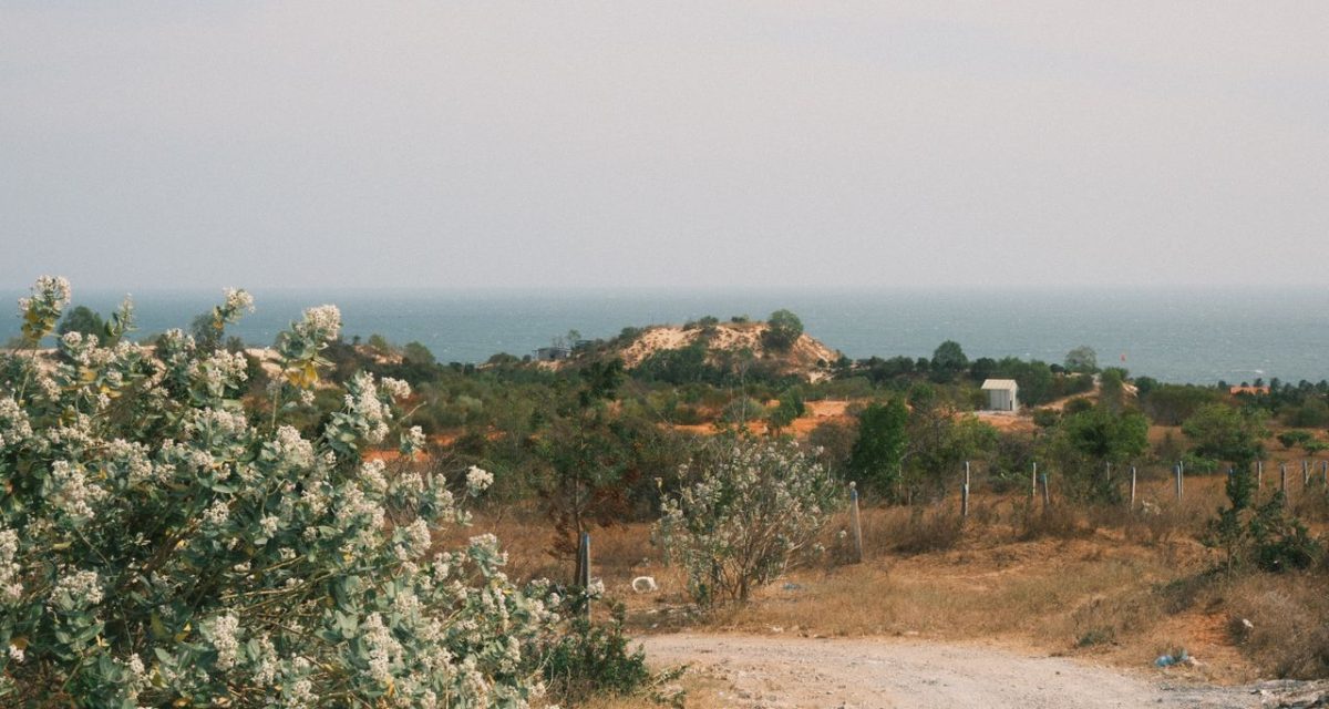 Paysage côtier de Phan Thiết