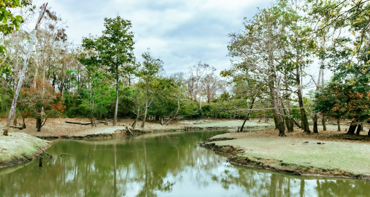 Paysage lacustre à Buon Ma Thuot