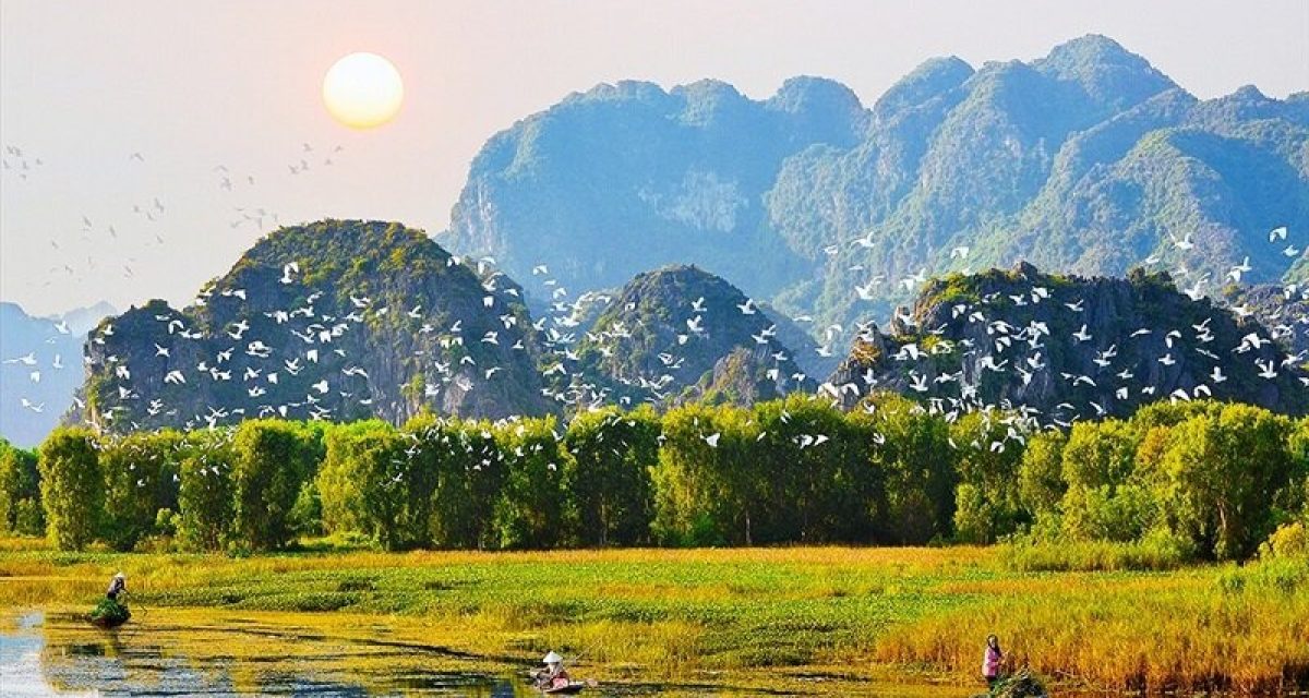 tam coc
