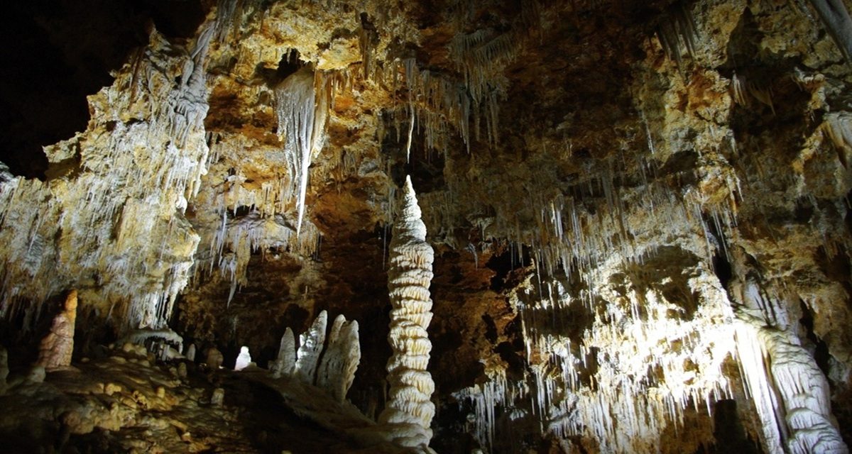 Trek Son Doong